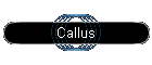 Callus